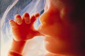 دیه ی سقط جنین را باید به چه شخصی پرداخت نمود؟